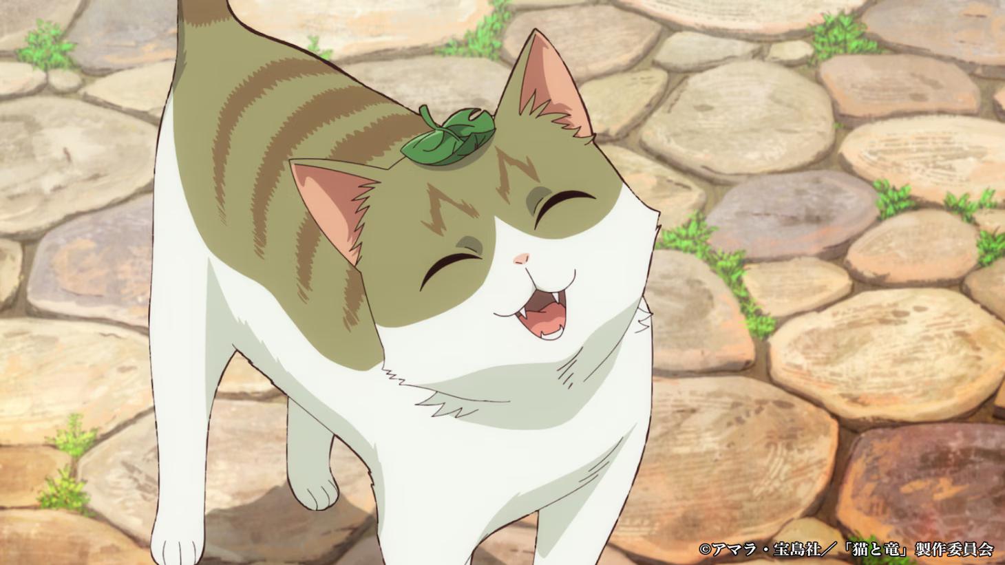 The Cat and the Dragon Anime Premieres on July 4