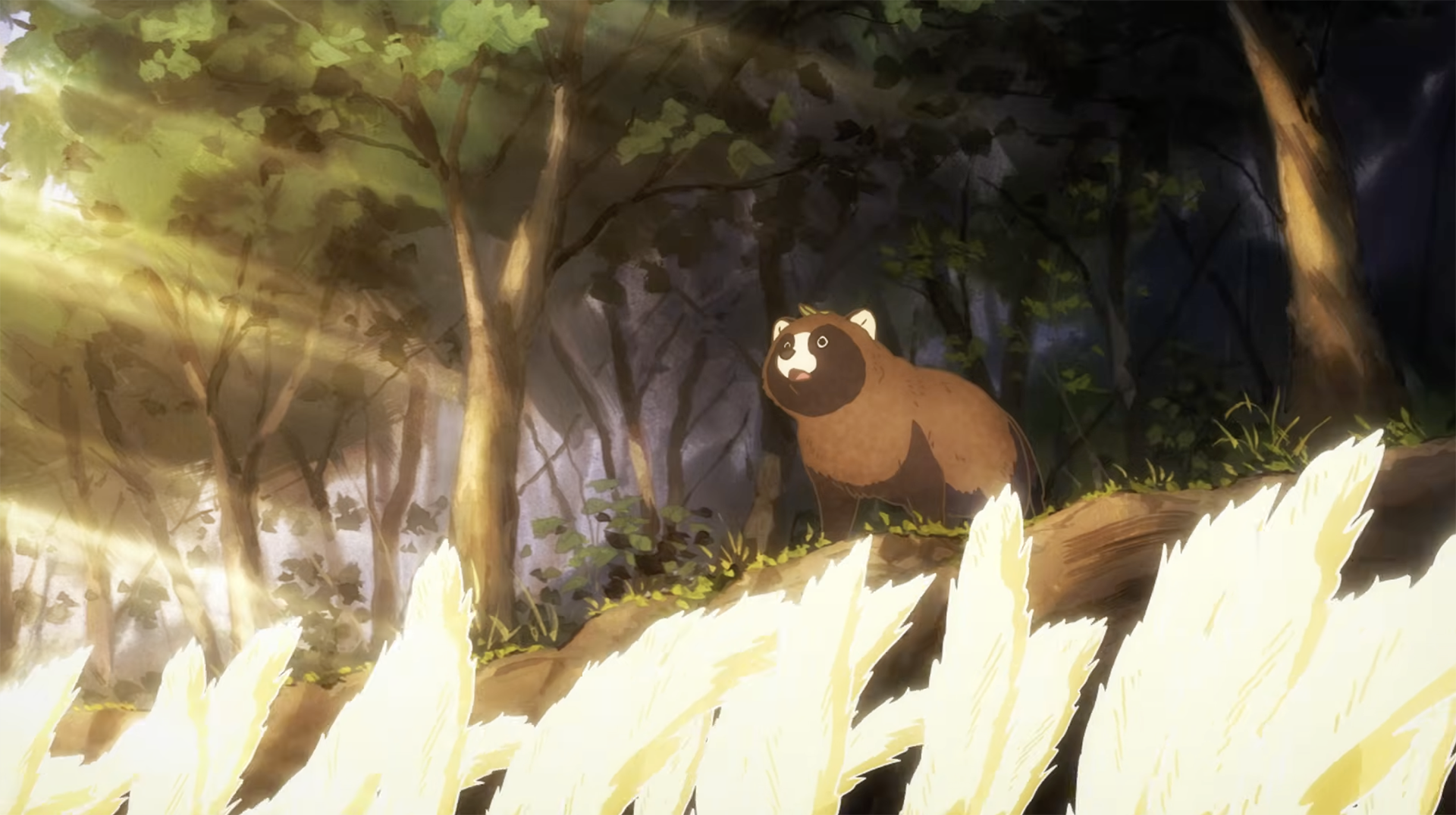 Omae, Tanuki ni Narane ka? Manga Gets TV Anime